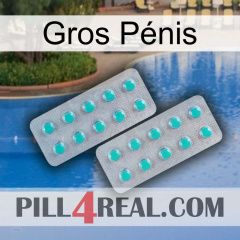 Gros Pénis 29